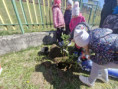 /album/sadenie-stromcekov-v-ramci-programu-skolske-ovocie/6d7be476-8743-496b-be9b-ff19ebc29203-jpg1/