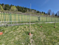 /album/sadenie-stromcekov-v-ramci-programu-skolske-ovocie/7defc69a-c92a-437a-b32c-a1b422bd6349-jpg1/