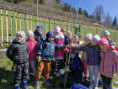 /album/sadenie-stromcekov-v-ramci-programu-skolske-ovocie/7e6bdb5f-9894-476e-b70e-64ec9c7d96a9-jpg1/