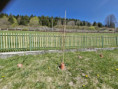 /album/sadenie-stromcekov-v-ramci-programu-skolske-ovocie/9b58ef29-dda5-4735-87d0-ef9dda5151df-jpg1/