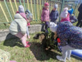 /album/sadenie-stromcekov-v-ramci-programu-skolske-ovocie/63e0725f-c409-4a14-956e-f6006d51cfae-jpg1/
