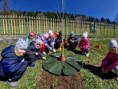 /album/sadenie-stromcekov-v-ramci-programu-skolske-ovocie/197babdc-b587-497a-9610-711f286ab3ca-jpg1/