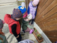 /album/sadenie-stromcekov-v-ramci-programu-skolske-ovocie/c017e2b0-51af-4bd6-ba13-a04681b5191d-jpg1/