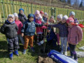 /album/sadenie-stromcekov-v-ramci-programu-skolske-ovocie/ce177aef-d620-4585-ab30-892c0a7c9b55-jpg1/