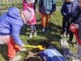 /album/sadenie-stromcekov-v-ramci-programu-skolske-ovocie/ea429b18-4d75-48c9-85c4-2cbc702429dc-jpg1/