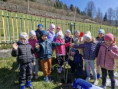 /album/sadenie-stromcekov-v-ramci-programu-skolske-ovocie/ee3ae1fe-55b0-4601-b33e-3e2b2900b3d4-jpg1/