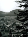 /album/archiv-fotogaleria-od-alberta-medveda/4-jpg/